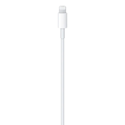 Cable Apple de USB-C a Lightning (1 M) Original