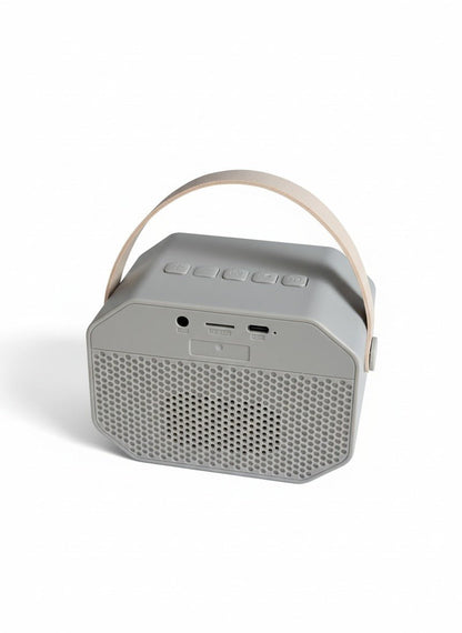 Karaoke Kids Party Pro – Parlante Bluetooth con 2 Micrófonos