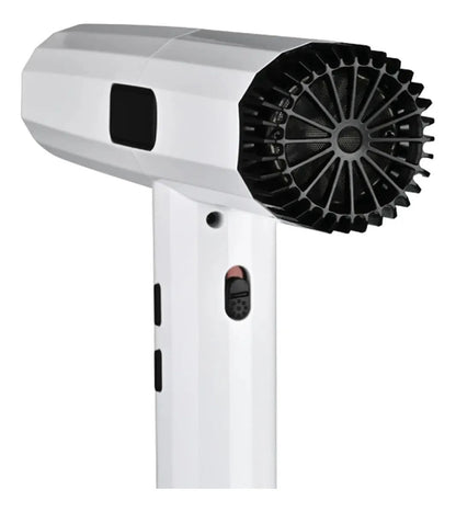 Secador Profesional WMARK 2000W